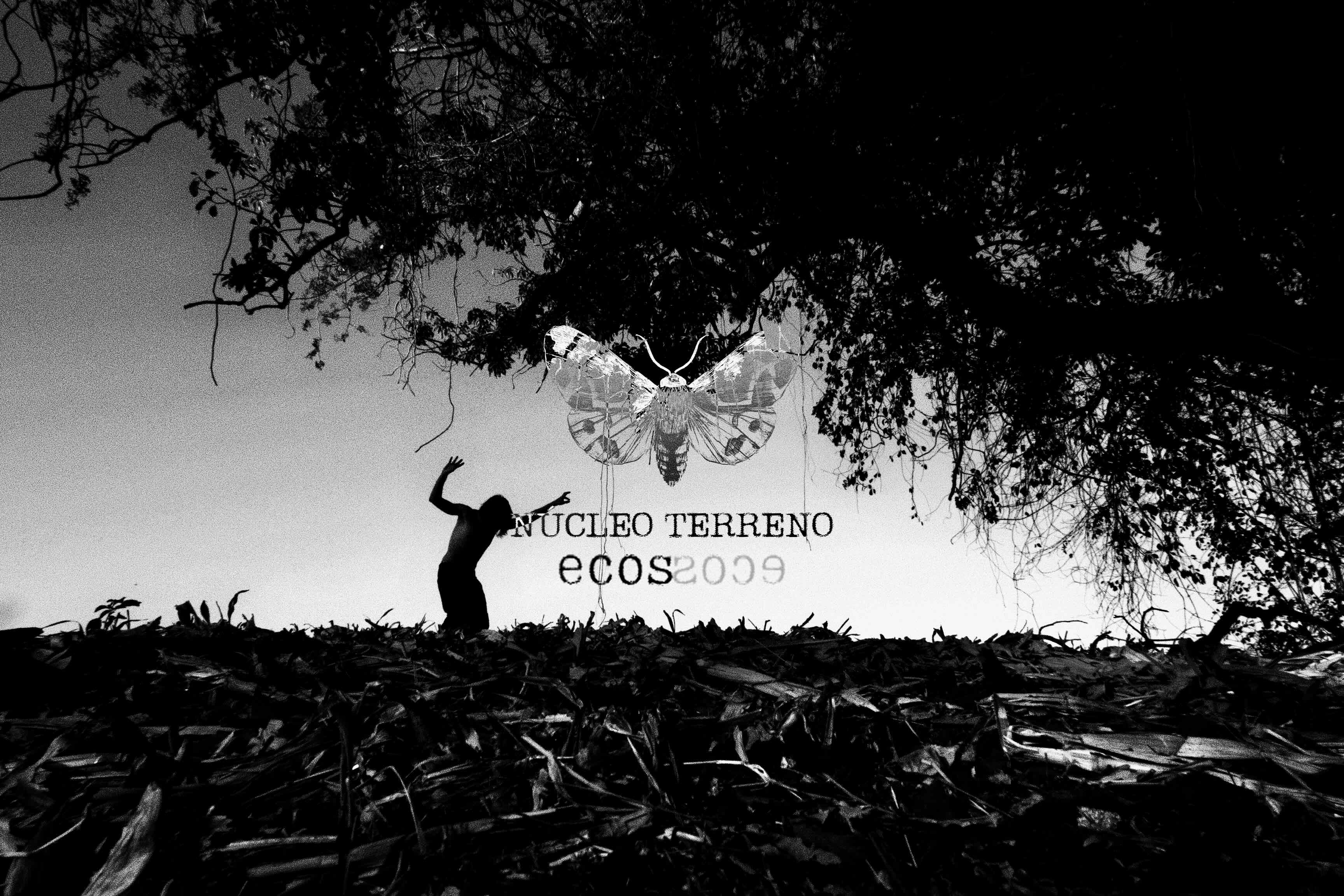 ECOS ECHOES Taanteatro